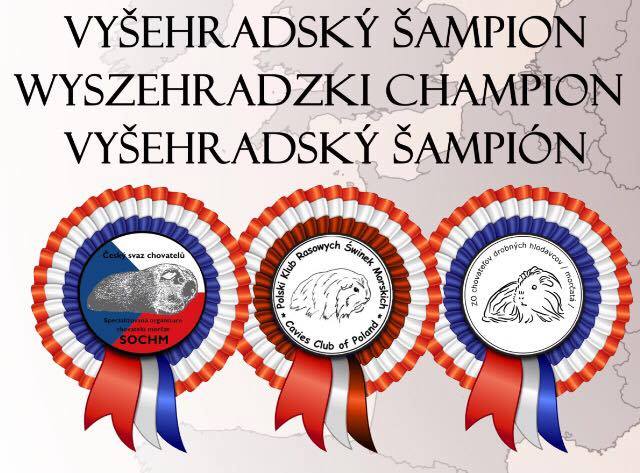 Vyšehradský šampión VYSCH